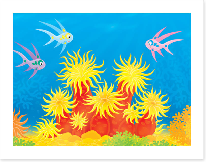 Under The Sea