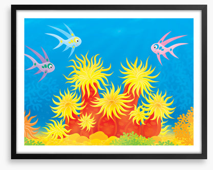 Under The Sea