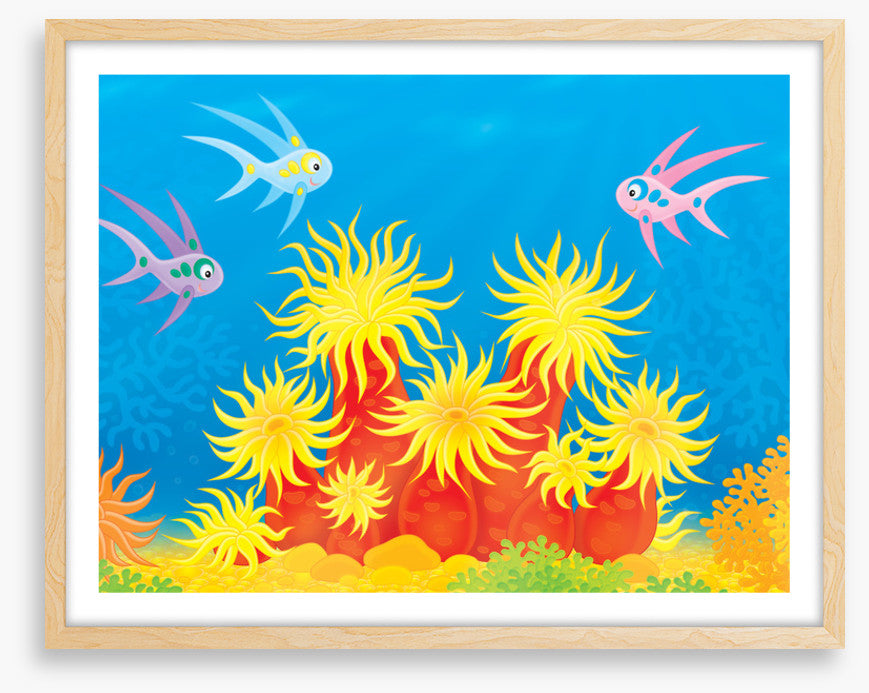 Under The Sea