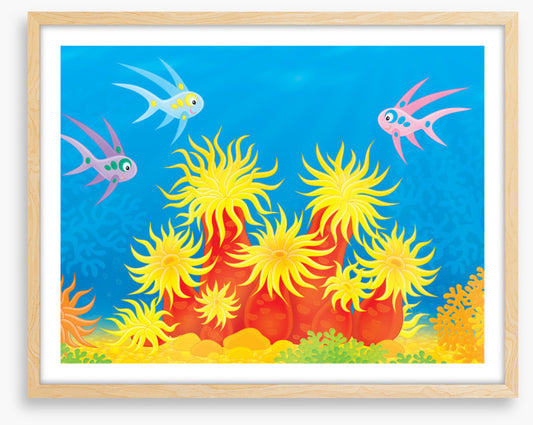 Under The Sea