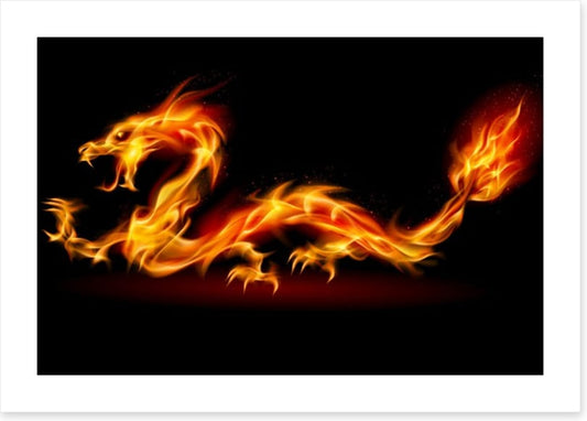 The fire dragon