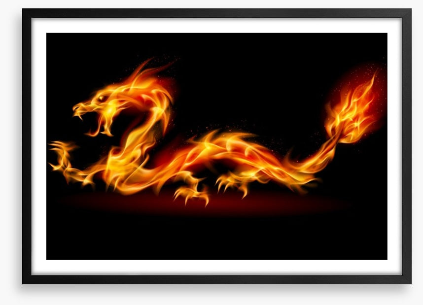 The fire dragon