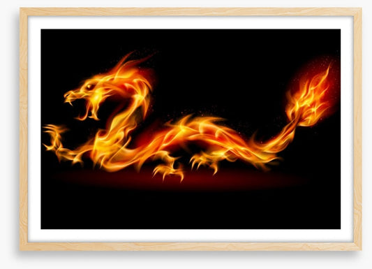 The fire dragon