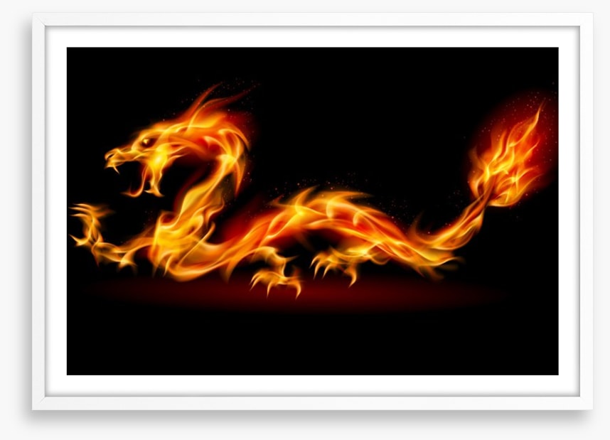 The fire dragon