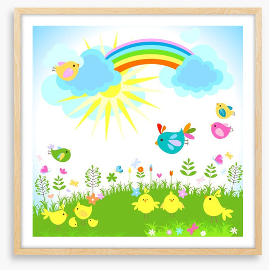 Rainbows