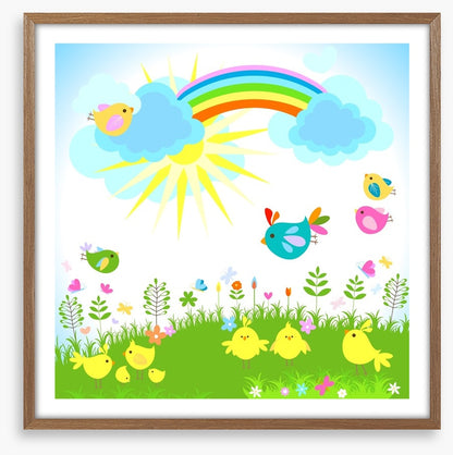 Rainbows