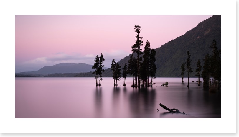 Lake Brunner blush