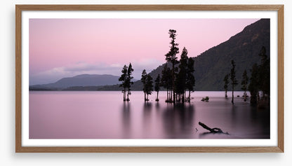 Lake Brunner blush