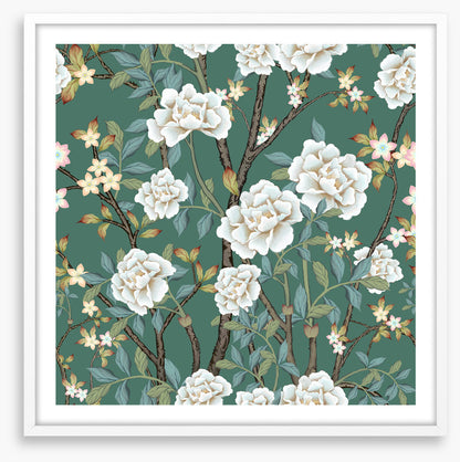 The peony garden