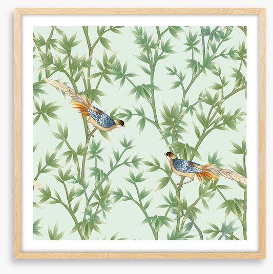 Bamboo birds