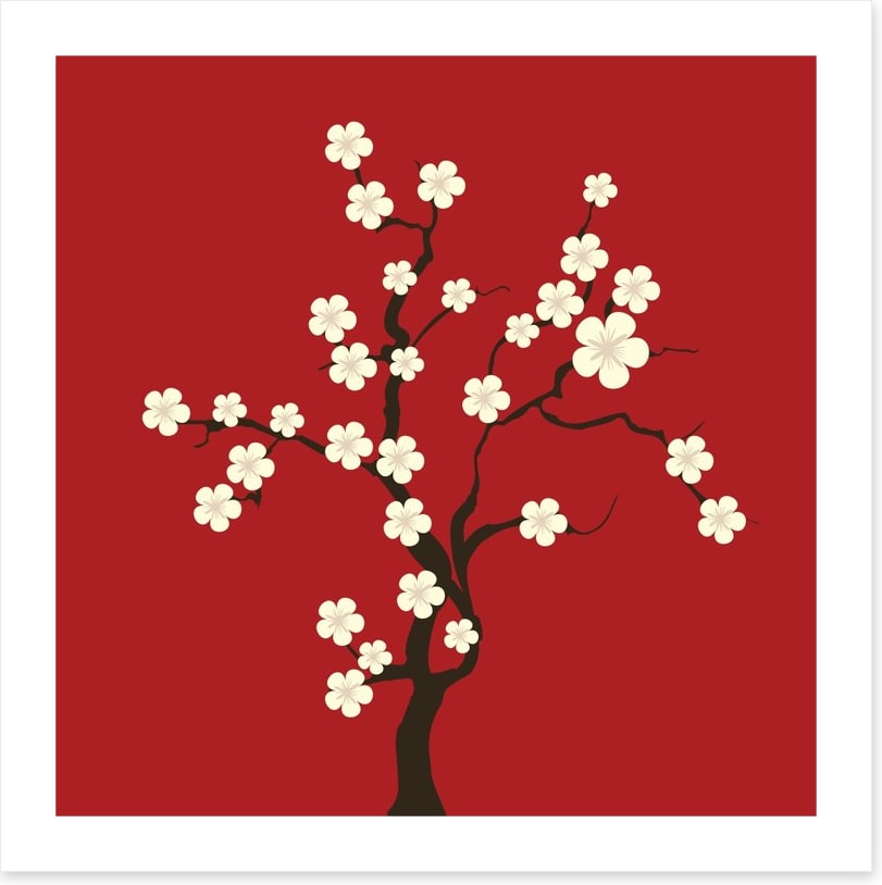 Cherry blossom