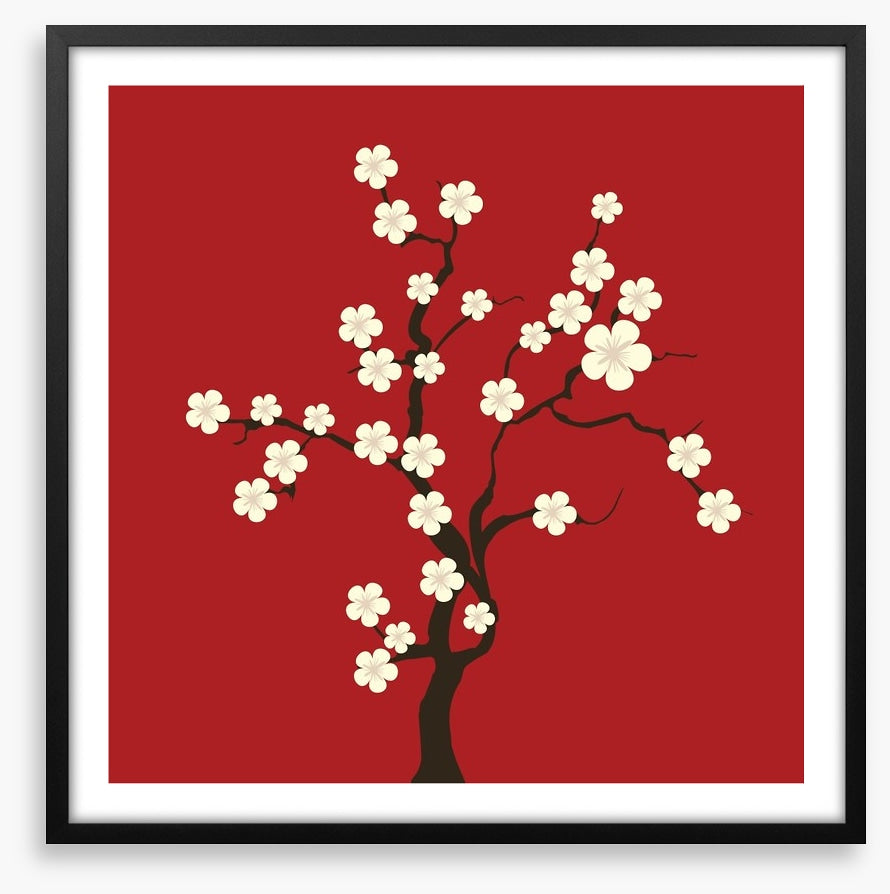 Cherry blossom
