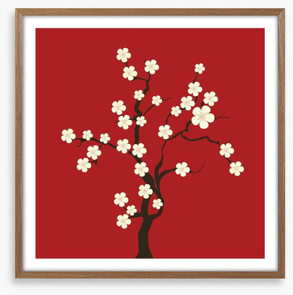 Cherry blossom