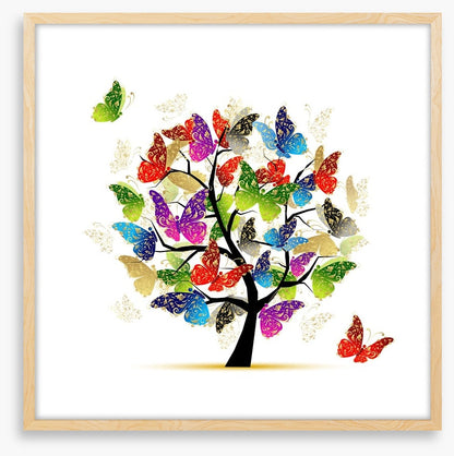 Butterfly tree