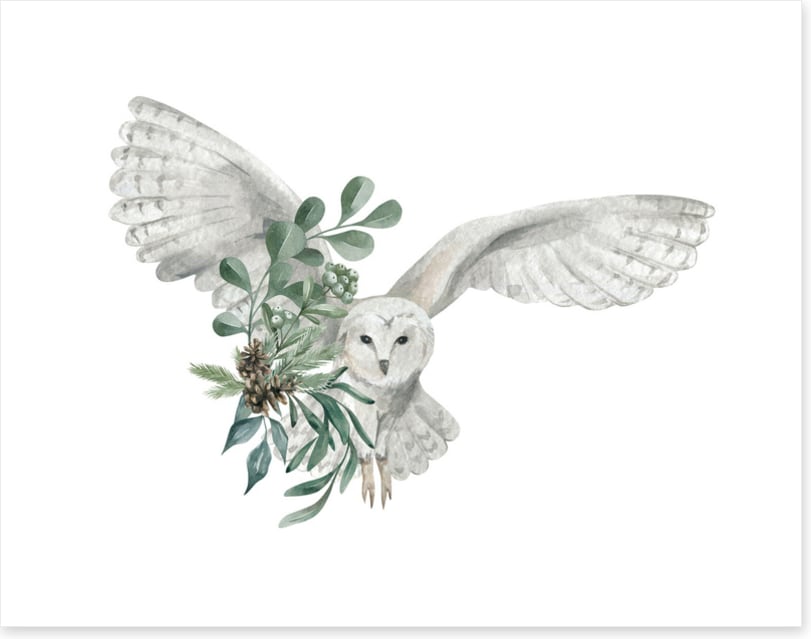 Snowy owl spruce