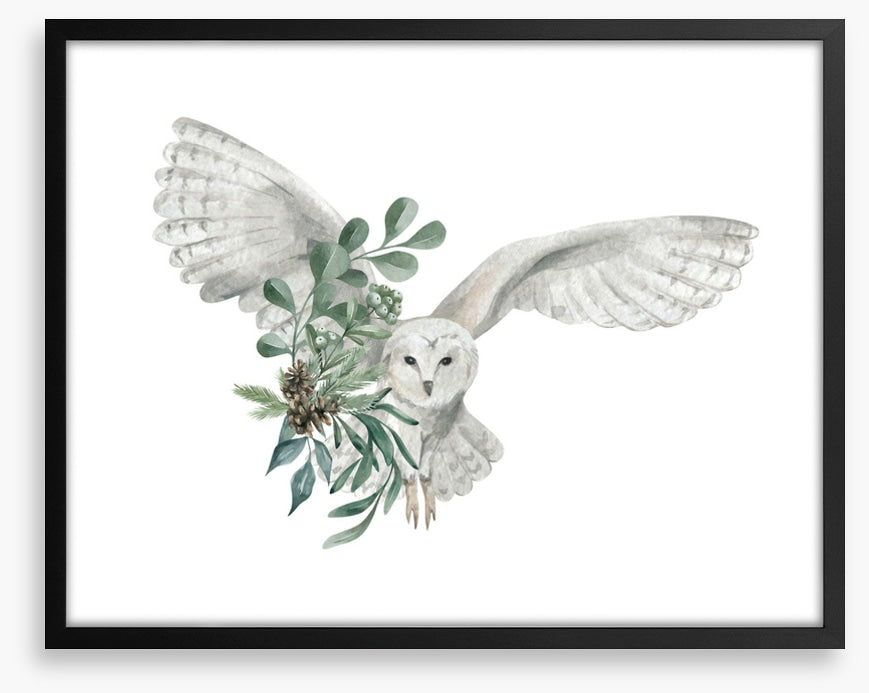 Snowy owl spruce