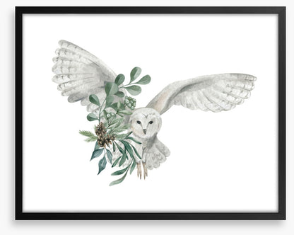 Snowy owl spruce