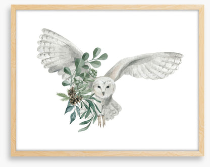 Snowy owl spruce