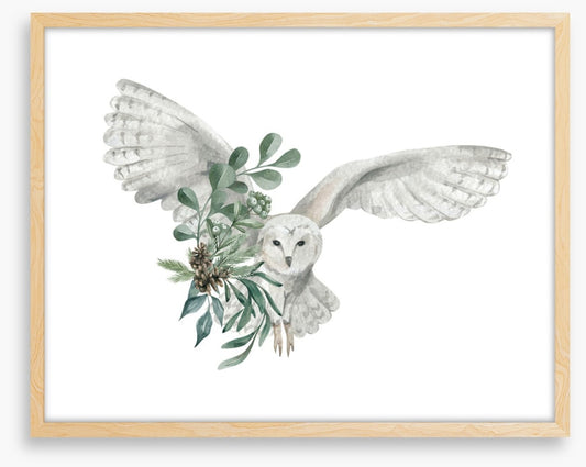 Snowy owl spruce