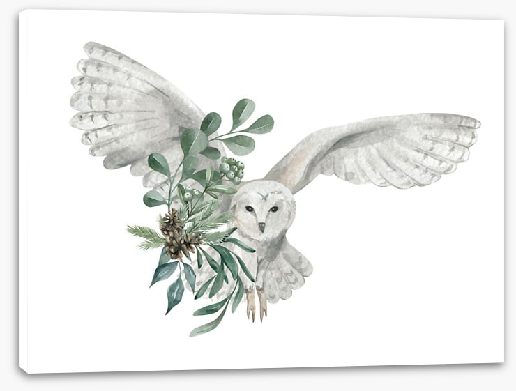 Snowy owl spruce