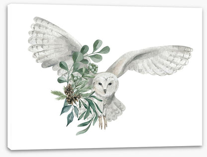 Snowy owl spruce