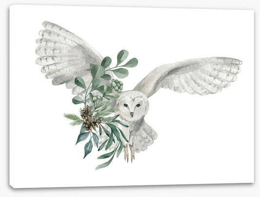 Snowy owl spruce