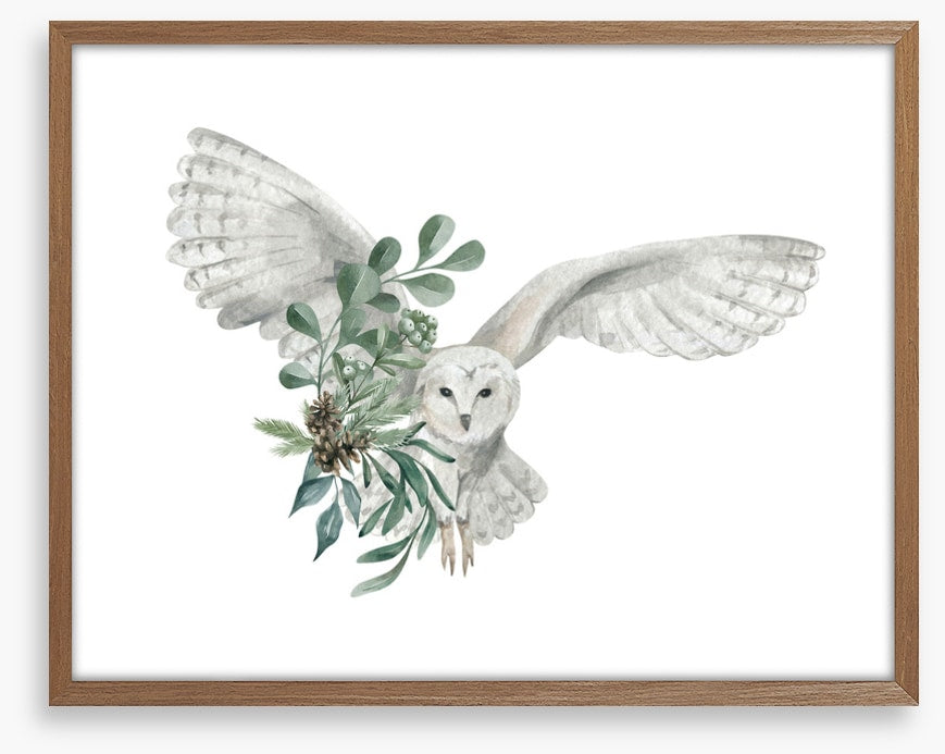 Snowy owl spruce