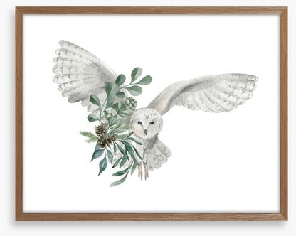 Snowy owl spruce