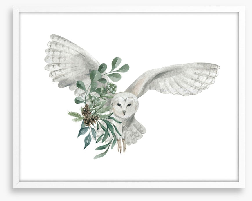 Snowy owl spruce