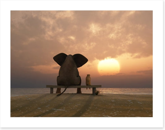 Together watching the sunset