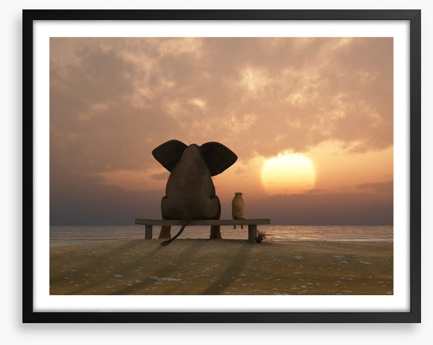 Together watching the sunset