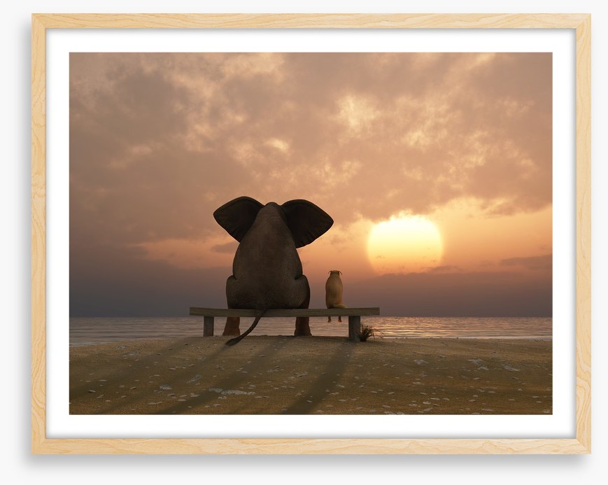 Together watching the sunset