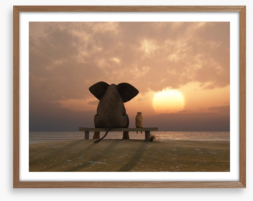 Together watching the sunset