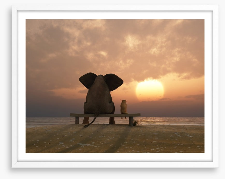 Together watching the sunset