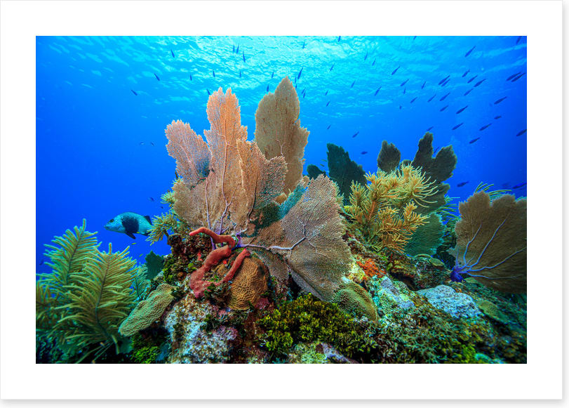 Underwater