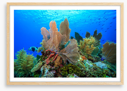 Underwater