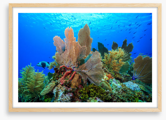 Underwater