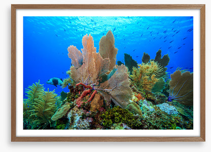 Underwater