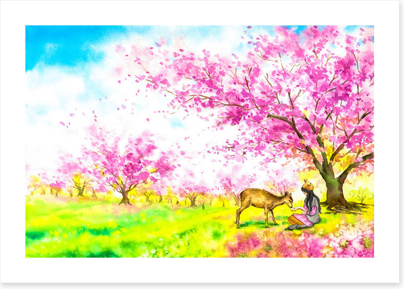 In the blossom field