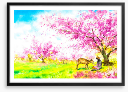 In the blossom field