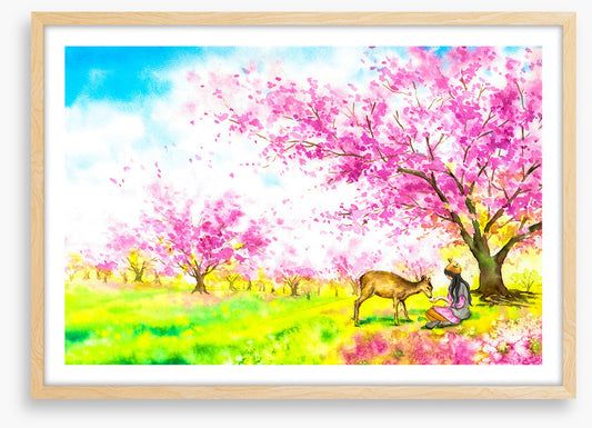 In the blossom field
