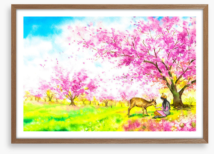 In the blossom field