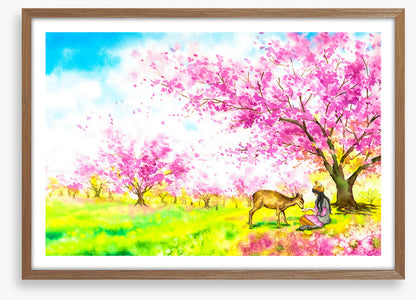 In the blossom field