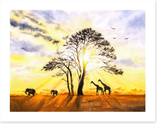Sunbeam safari