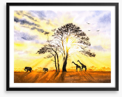 Sunbeam safari