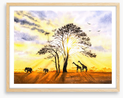 Sunbeam safari