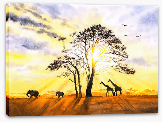 Sunbeam safari
