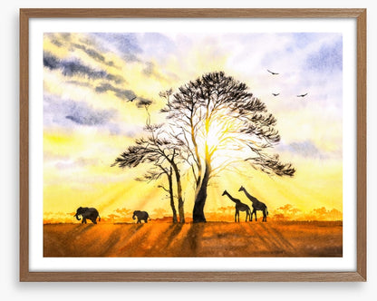 Sunbeam safari