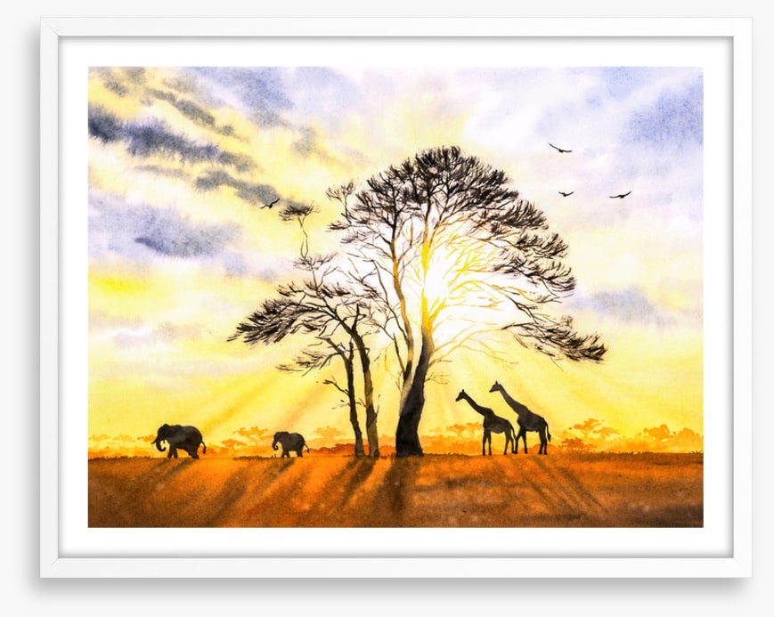 Sunbeam safari
