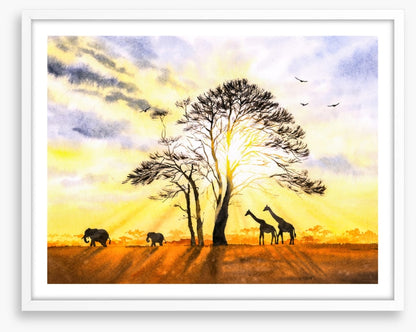 Sunbeam safari